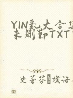 YIN乱大合集未删节TXT下载