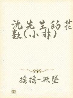 沈先生的花式调数(小非)