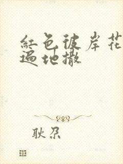 红色彼岸花花瓣遍地撒