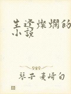 生逢灿烂的日子小说