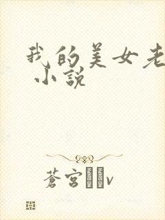 我的美女老婆们 小说