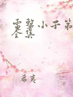 电击小子第二部全集