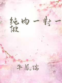 纯肉一对一到处做