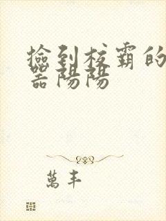 捡到校霸的遥控器阳阳