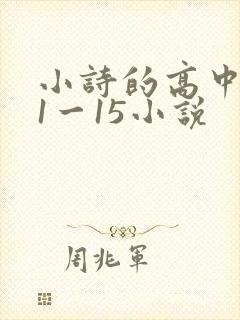 小诗的高中日记1一15小说