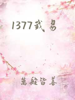 1377武易
