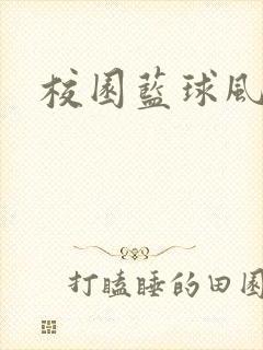 校园蓝球风云