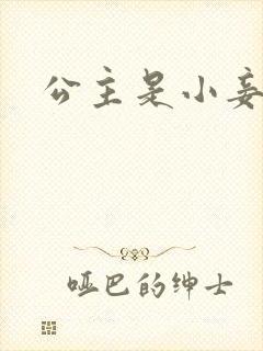 公主是小妾