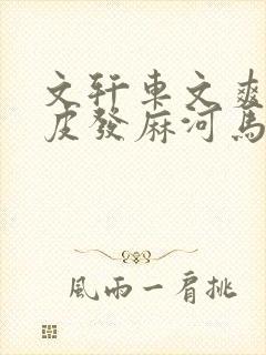 文轩车文爽到头皮发麻河马的秘密河