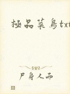 极品菜鸟txt