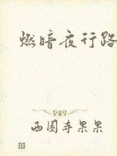 燃暗夜行路