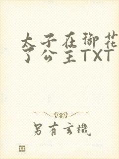 太子在御花园要了公主TXT