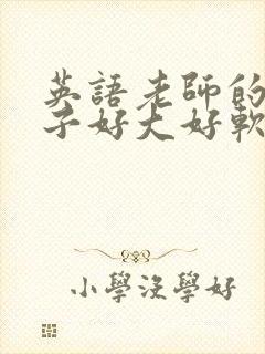 英语老师的小兔子好大好软水