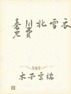 秦川北雪衣小说免费