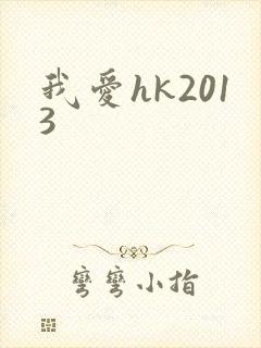 我爱hk2013