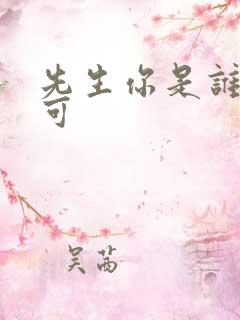 先生你是谁林亦可