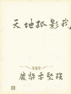 天地孤影我独行