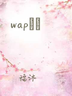 wapС˵