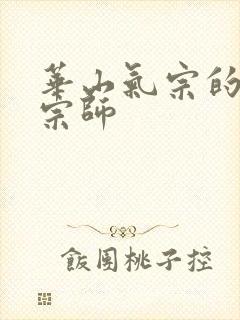 华山气宗的形意宗师