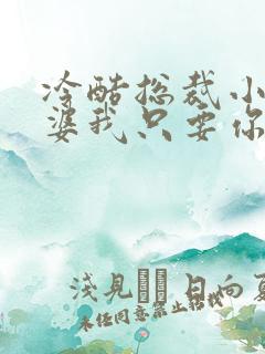 冷酷总裁小小老婆我只要你