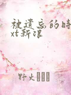 被遗忘的时光txt新浪