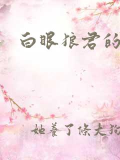 白眼狼君的小说