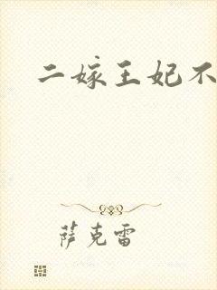二嫁王妃不好惹