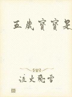 五岁宝宝是间谍