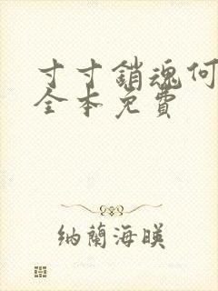 寸寸销魂何生祥全本免费