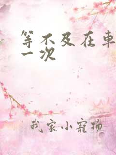 等不及在车里做一次