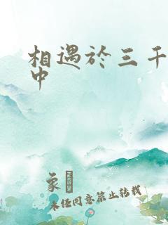 相遇于三千肉文中