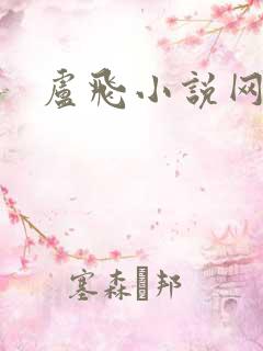 卢飞小说网
