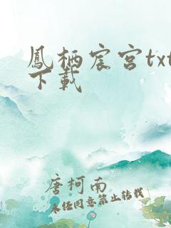凤栖宸宫txt下载