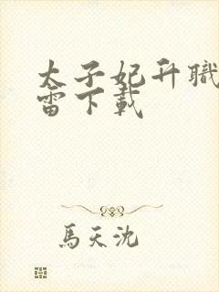 太子妃升职记迅雷下载