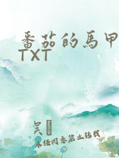 番茄的马甲小说TXT