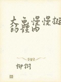 大龟慢慢挺进我的体内