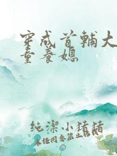 穿成首辅大人的童养媳