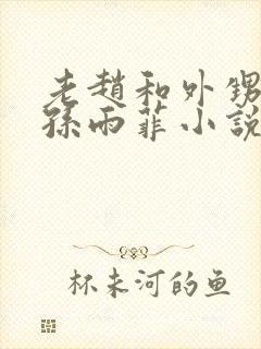 老赵和外甥媳妇孙雨菲小说