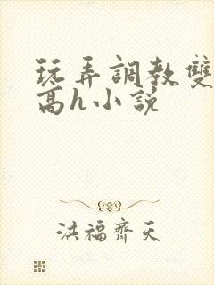 玩弄调教双胞胎高h小说