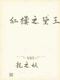 红楼之黛玉之弟