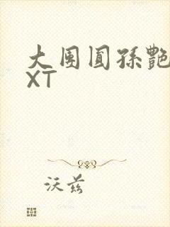 大团圆孙艳梅TXT