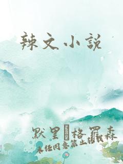 辣文小说