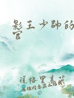 影王少帅的女长官