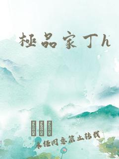 极品家丁h
