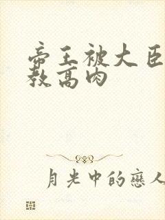 帝王被大臣们调教高肉