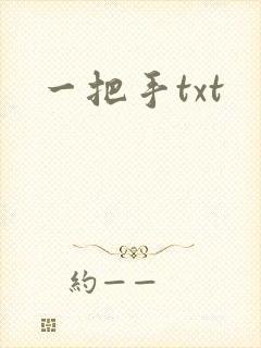 一把手txt