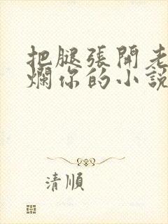 把腿张开老子臊烂你的小说