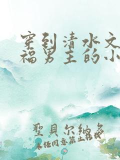 穿到清水文里造福男主的小说