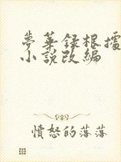 梦华录根据什么小说改编