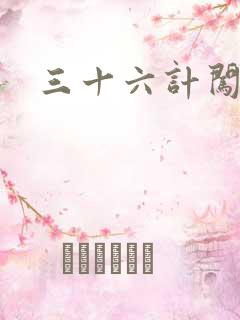 三十六计闯官场